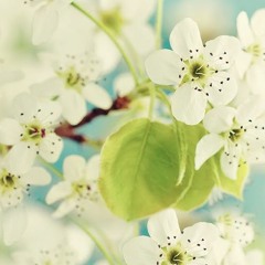 Ajai Alai Mantra For Being In Your Power & To Develop Radiant Body 🌸 bit.ly/4iEZZNj 🌸