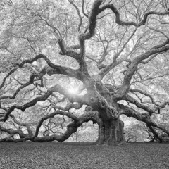 سیاوش کسرایی