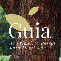 Meditação guiada