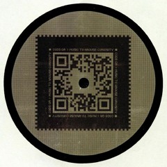 ELECTRIC RESCUE (Code 454C45) - WE HOPED TO CHANGE IT - Cod3QR 006