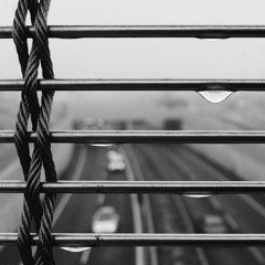 Wet January mix 2020