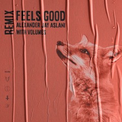 Feels Good Remix feat. Volumes