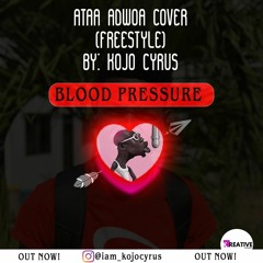 Ataa Adwoa (Bosom P-Yung)