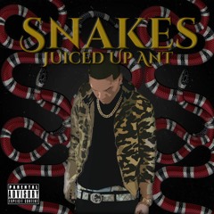 Juiced Up Ant - Snakes