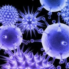 Corona Virus - FULL HD
