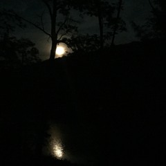 Driving Late at Night