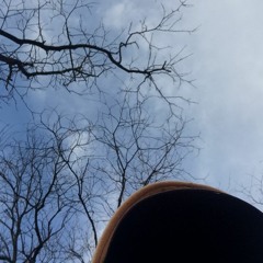 distract