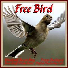 Free Bird