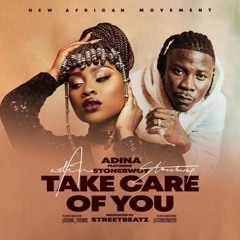 Adina - Take Care Of You Ft. Stonebwoy(Prod. by Street Beatz) | Bgvibes.com