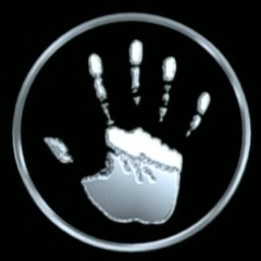 THE NOISE THAT WANDER