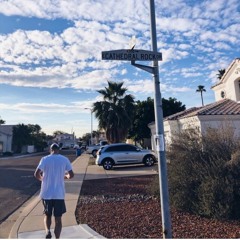 The Woods Are This Way