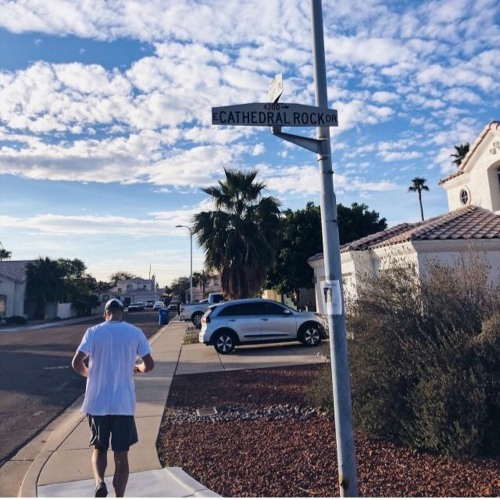 The Woods Are This Way