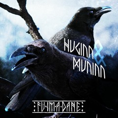 Huginn And Muninn