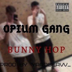 PaPe x Y - Bunny Hop