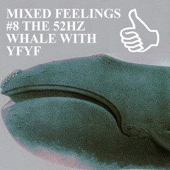 MIXED FEELINGS #8 THE 52HZ WHALE WITH YFYF