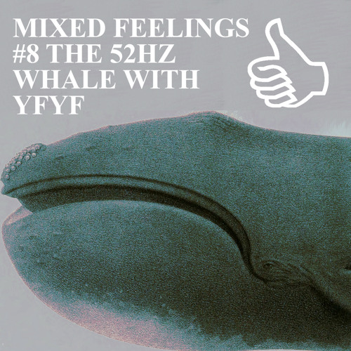 MIXED FEELINGS #8 THE 52HZ WHALE WITH YFYF