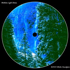 NLS012 Vilhelm Hasselgren