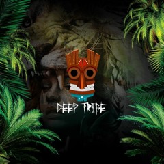 Promo Mix For Deep Tribe #010 - Paul Svenson