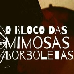 Mimosas Borboletas - Celinha Braga