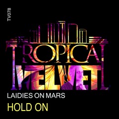 Hold On (Original Mix) (Tropical Velvet)