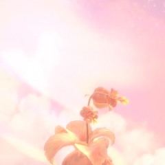 R2D2 (+prod tayparadox)