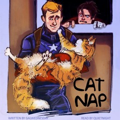 Cat Nap