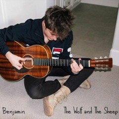 The Wolf and the Sheep