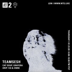 TeamSesh NTS 23rd January 2020: cat soup, drip-133, Grayera & hnrk