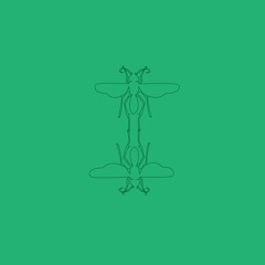 Lucid Dream Tape vii) Zeta LYS