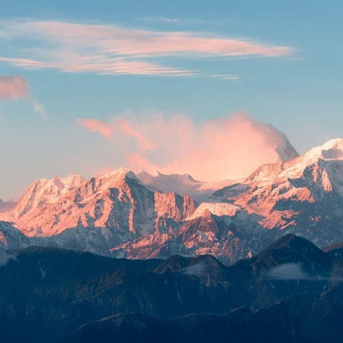 Whitewildbear // You See