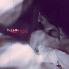 Tim Dian - Want You (Geek Mix)