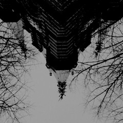 Church Of Chaos