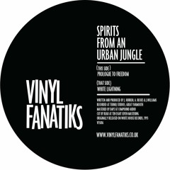 Spirits From An Urban Jungle 'Prologue To Freedom' - VFS016 - 192mp3 clip