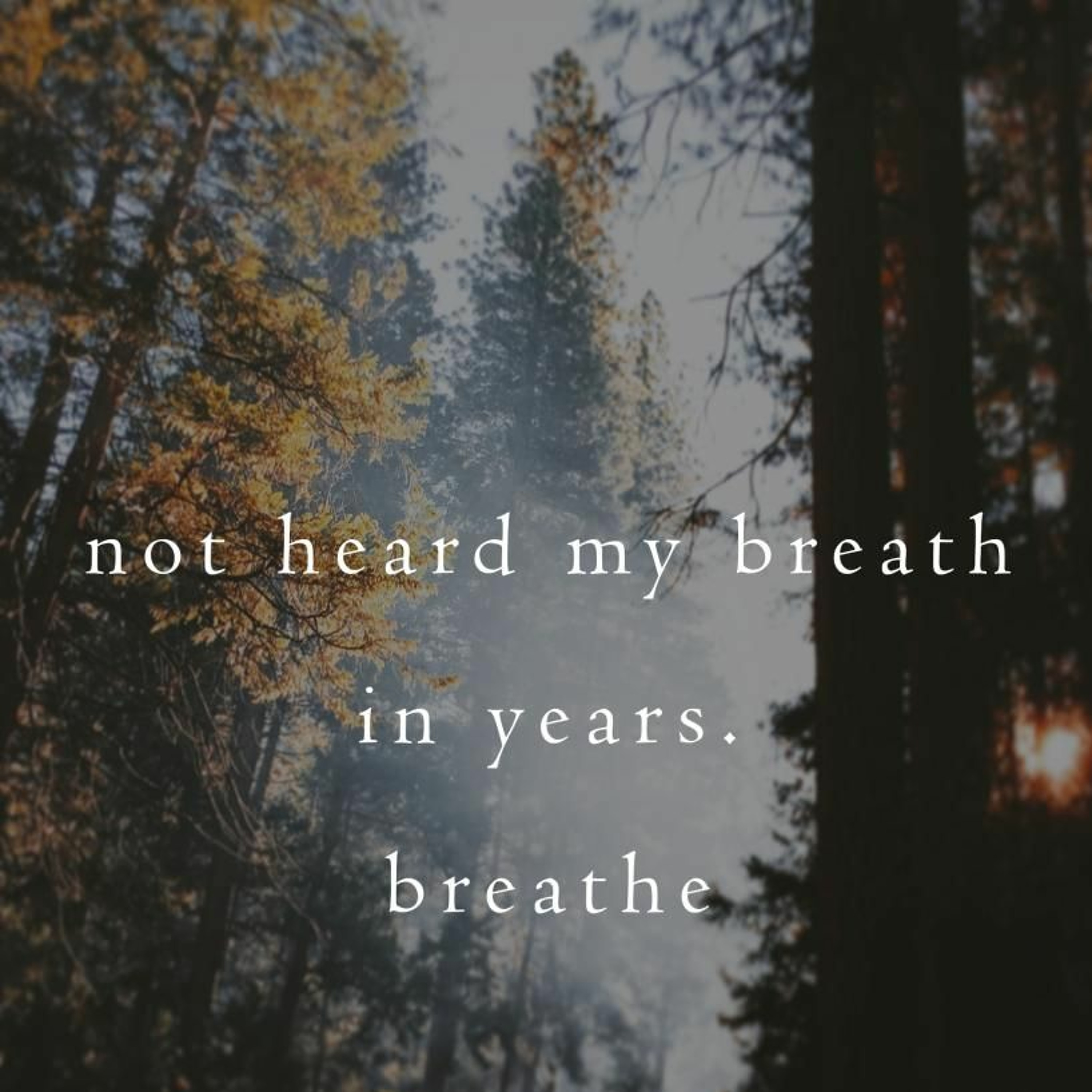 OneAmbient4 - Not Heard My Breath In Years (Naviarhaiku 317) episode artwork