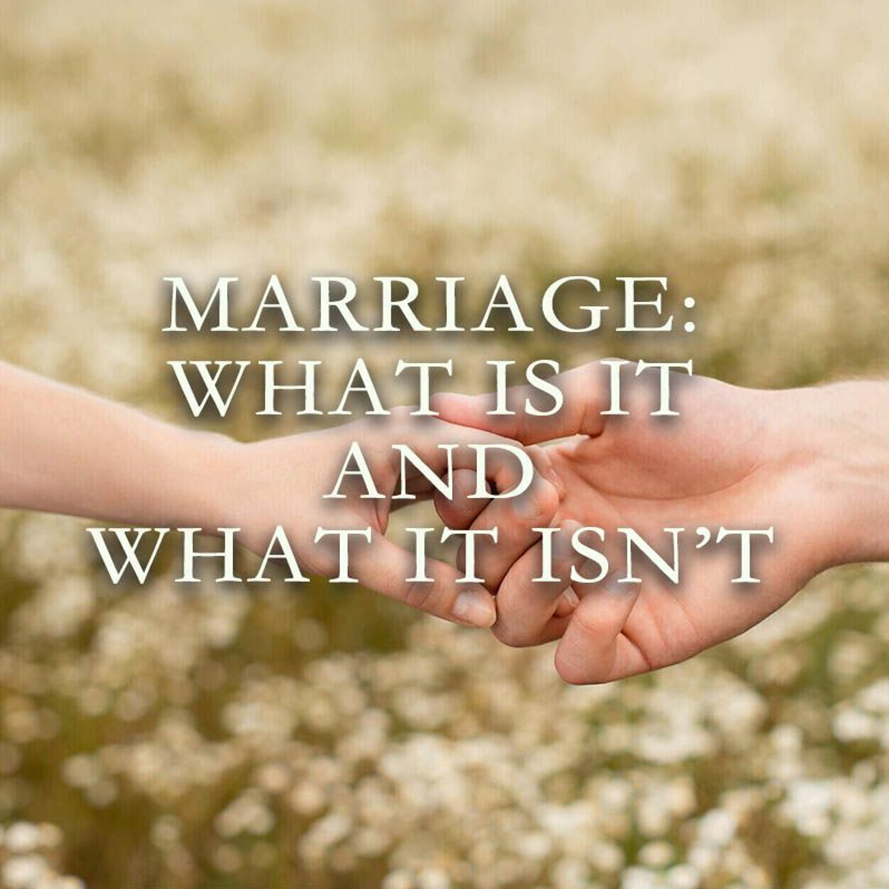 Part 49: Marriage What It Is And What It Isn't episode artwork