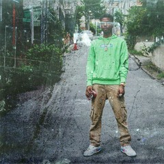 Plug22