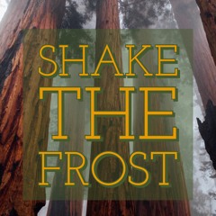 Shake The Frost (Tyler Childers Cover) Acoustic