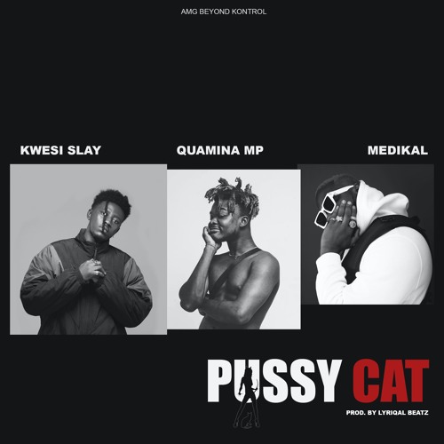 Pussy Cat (feat. Quamina MP & Medikal)
