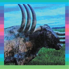 betelgeuse please dont die