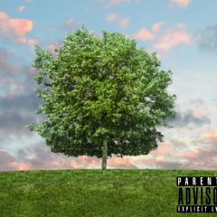 Tree ft. Ody(Official Audio)