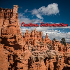 Cautious Determination