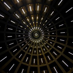 PSYNUTS (MXL X G-WAVE)