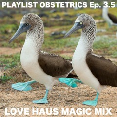 Love haus magic mix (Playlist Obstetrics Ep. 3.5)