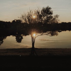 You're Not Here (Sec 1)