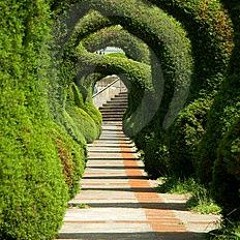 Each Time I Look At U