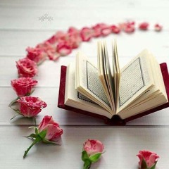 سورة يوسف - القارئ إبراهيم الحق -