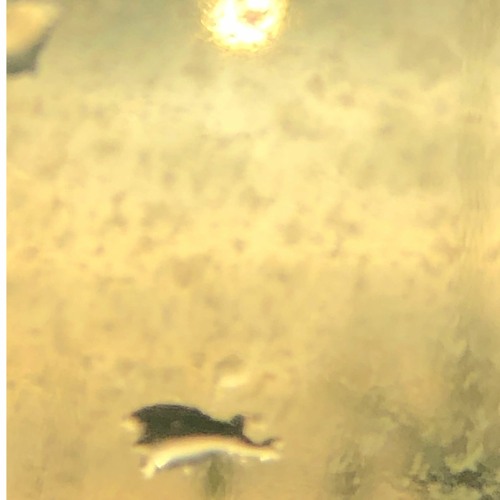 Drama Future Heartbreak (feat. Jack Dean)