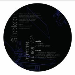 Shekon - Excess of Reduction (Michal Jablonski Remix)