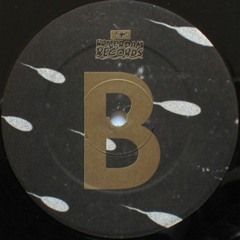 Neophyte - 210 Rotterdam
