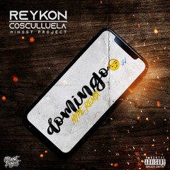 Reykon Ft. Cosculluela - Domingo (Minost Project Hype Remix)